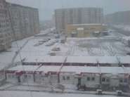 DSC0012.jpg