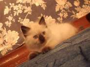 ����� � �������.jpg