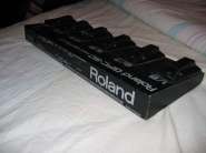 roland (1).jpg