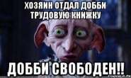 dobbi_11938872_orig_.jpg