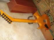 DSC02385.jpg