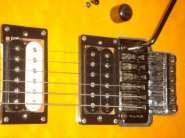 DSC02387.jpg