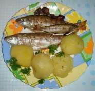 DSC00710a.JPG