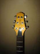 Carvin-004.jpg