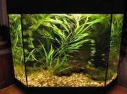 ����� (2) IMG_0324.JPG