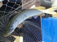 20140720_093114.jpg