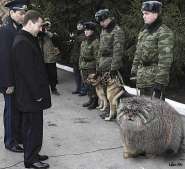 medvedev_i_kot_bsite.org_61.jpg