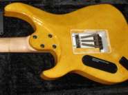 capa 010.jpg