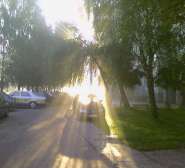 Photo-0011.JPG