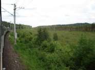 DSC05629-1.jpg