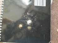 ����������� 895.jpg