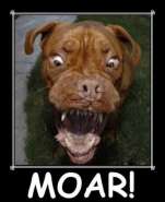 1273590367_most_hilarious_animal_emotions_10.jpg