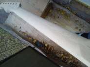 ���� 0124.jpg