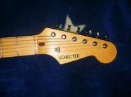 schecter3.jpg