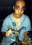 high_daron01.jpg