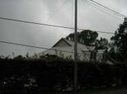 2 008.JPG