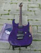 IbaUSRG30 01.jpg