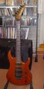 hamer_02.jpg