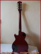 edwards_e_lp_98lts_6.jpg