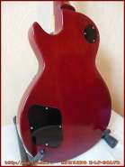 edwards_e_lp_98lts_7.jpg