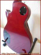 edwards_e_lp_98lts_8.jpg