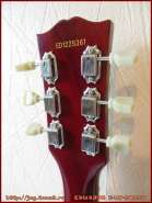 edwards_e_lp_98lts_9.jpg