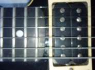 DSC00721.jpg