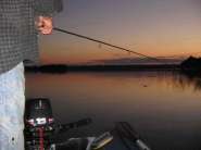 IMG_0021web.jpg