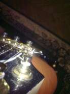 17032010072.jpg