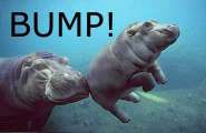 Bump!.jpg