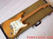 Fender ash case.jpg