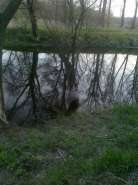 24042013053.jpg