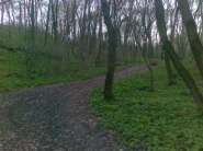 24042013057.jpg
