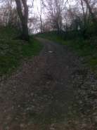 24042013058.jpg