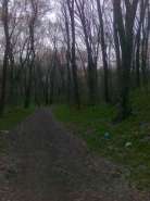 24042013059.jpg