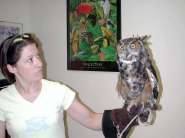 GreatHornedOwlTRooseveltforweb.jpg