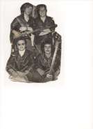 img011-1-������ �����.jpg