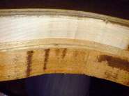 DSC00420 [1024x768].JPG