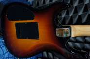 DSC08576_thumb.jpg