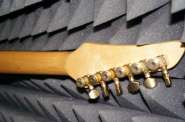 DSC08578_thumb.jpg