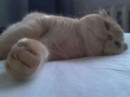 2012-02-11 09.49.15.jpg