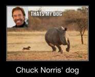 chuck_dog.jpg