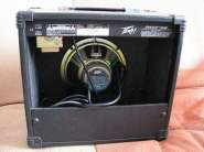 peavey_158_back.jpg
