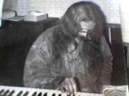 1989 ���-2.jpg