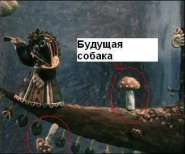 ��8.JPG