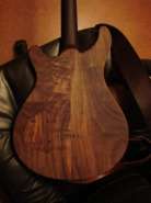 Гитарный мастер -- Дмитрий Позныш 199825-2