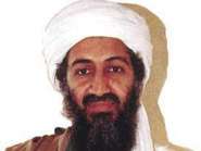 1362783561_43.jpg