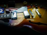 ES-335 Carlton-3.jpg