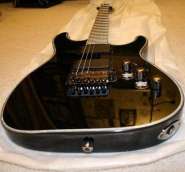 schecter6_sm.jpg