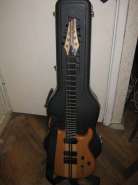 carvin1.jpg